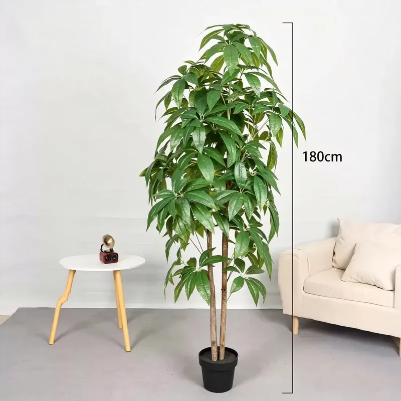 Sıcak Fırsat İskandinav Tarzı  - Bonsai Garden For Sale incelemesi ve fiyatı