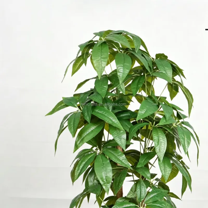 Sıcak Fırsat İskandinav Tarzı  - Bonsai Garden For Sale incelemesi ve fiyatı