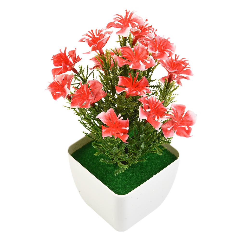 Sıcak Fırsat Yeni Aksesuarlar  - Bonsai Garden For Sale incelemesi ve fiyatı