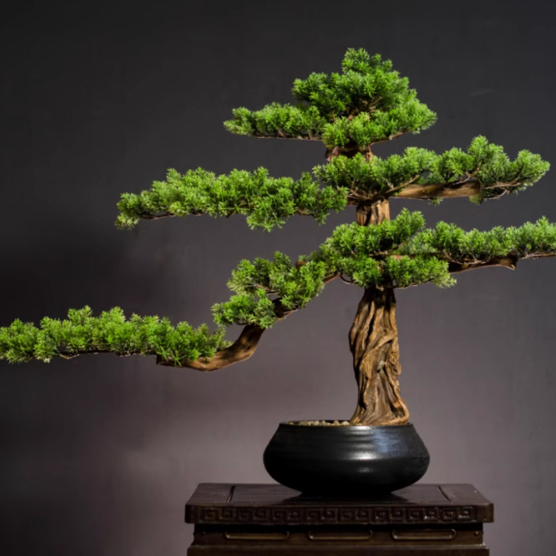 Evde Kullanım İçin Çam Süsleri - Bonsai Garden Entrance incelemesi ve fiyatı
