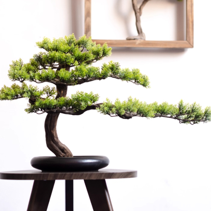 Evde Kullanım İçin Çam Süsleri - Bonsai Garden Entrance incelemesi ve fiyatı