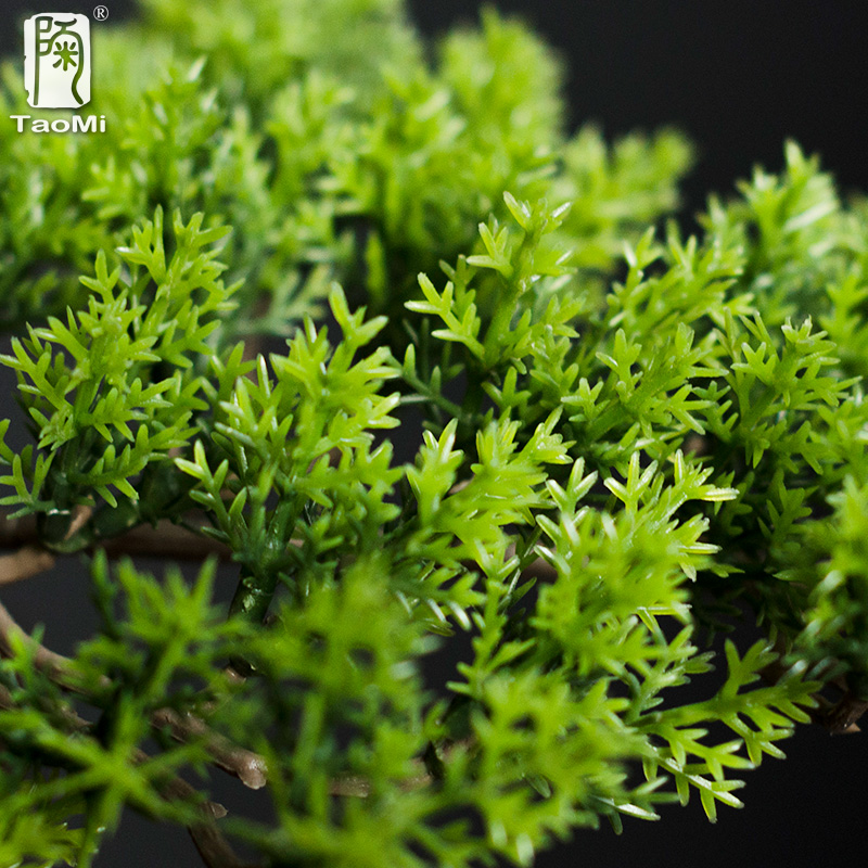 Evde Kullanım İçin Çam Süsleri - Bonsai Garden Entrance incelemesi ve fiyatı