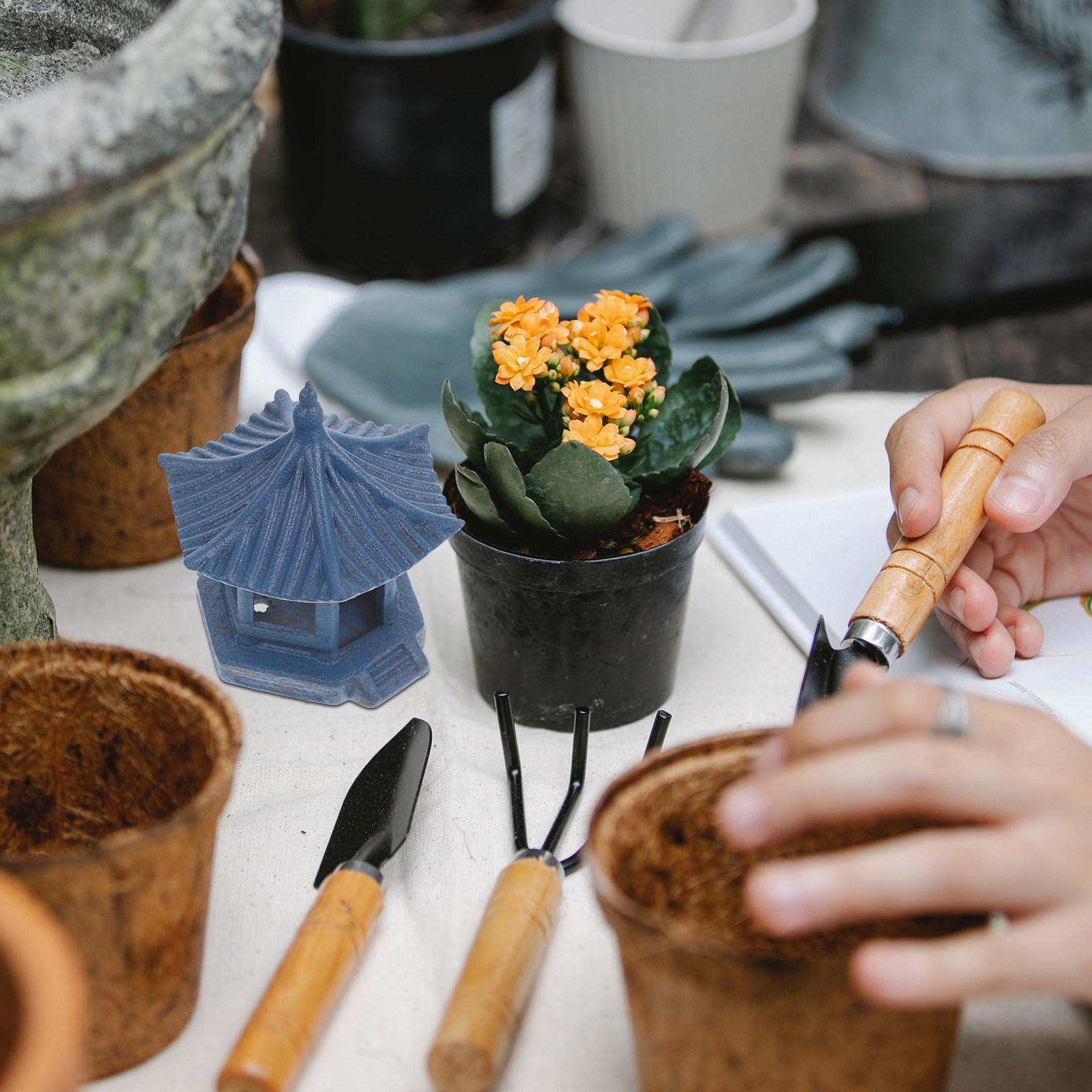 1 Adet, Yaratıcı Altıgen Tasar - Bonsai Garden Landscape Design incelemesi ve fiyatı